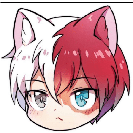 Boku no hero 18