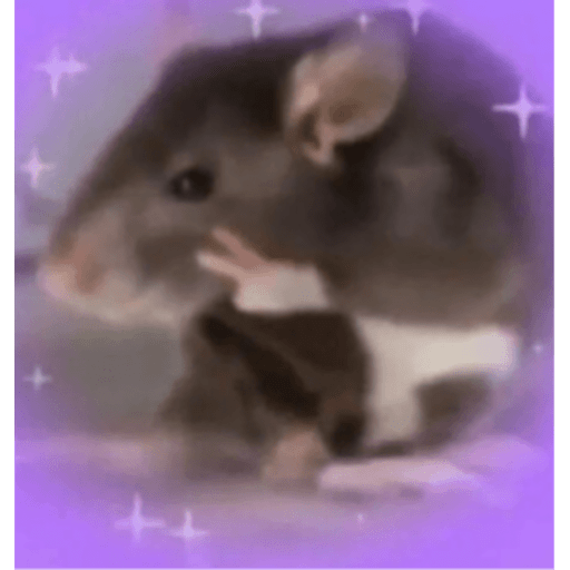 Memes pets 21
