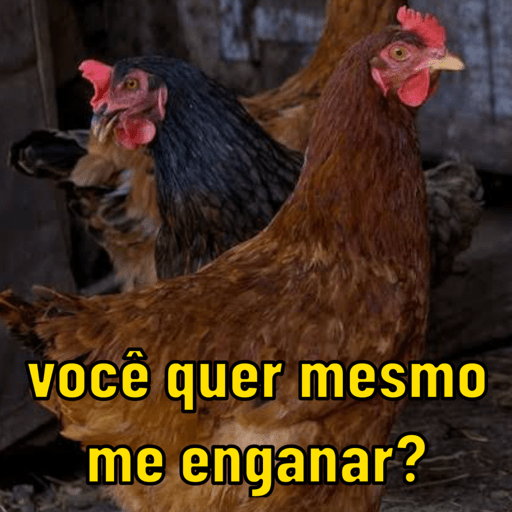 Salva aí, vai que precisa 🫢 11