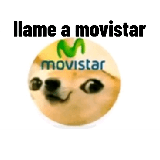 Perros graciosos 3 17