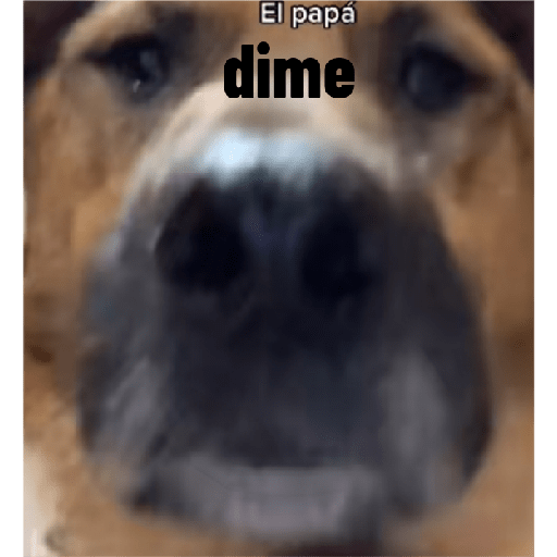 Perros graciosos 3 18