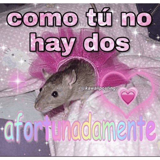 Aesthetic 23