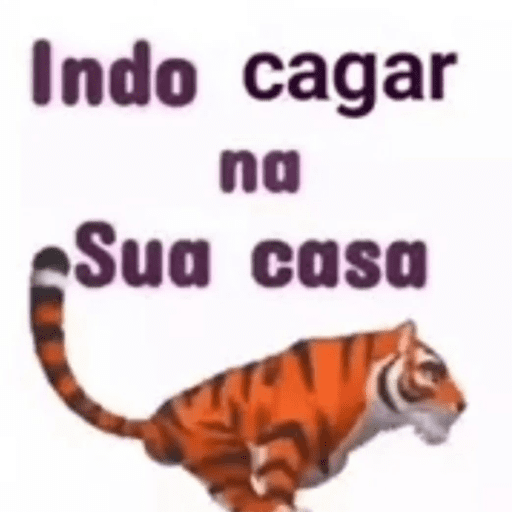 Reação  16