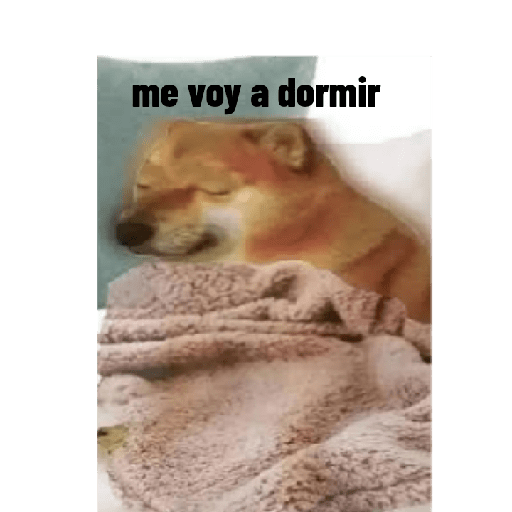 Perros graciosos 3 13