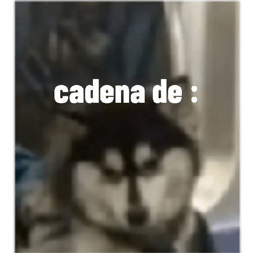 Perros graciosos 3 5