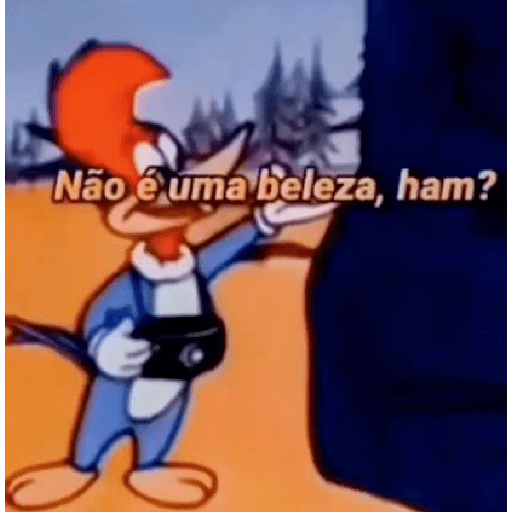 06.11.2025 6