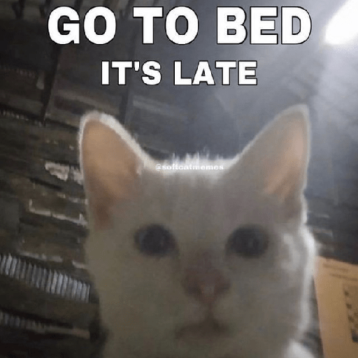 El gato 4