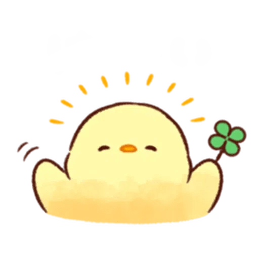 Pollito Floral 5