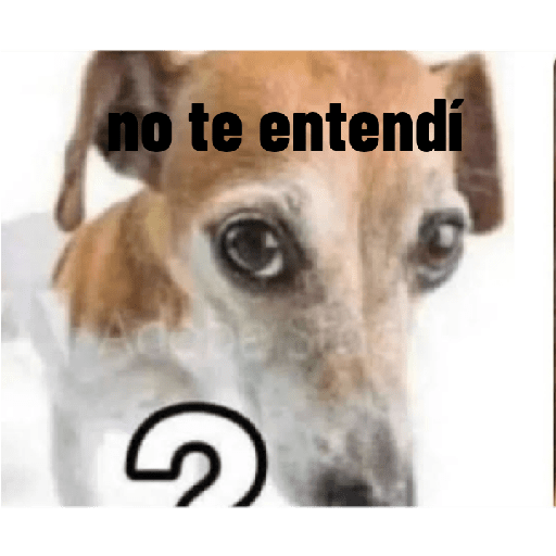Perros graciosos 3 14