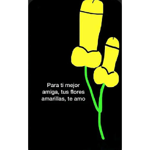 Flores 🌻Amarillas 💛 2