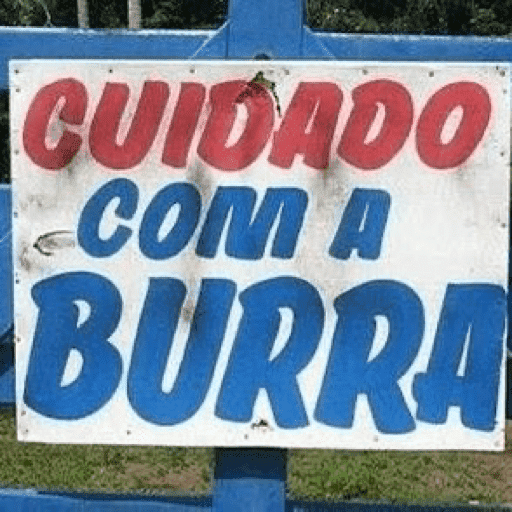 Cuidado com a burra 🤣 1