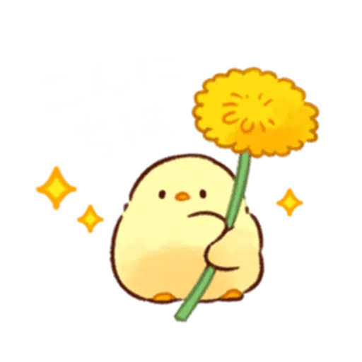 Pollito Floral 2