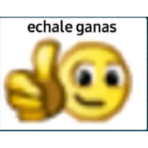 Michis 29