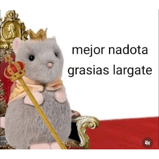 Divertido  8