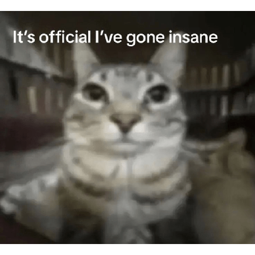 El gato 2