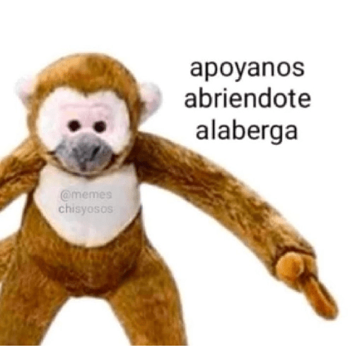 Divertido  5