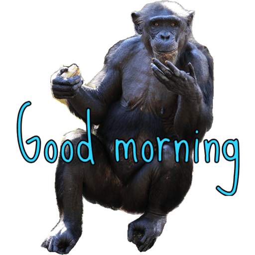 Good morning  4