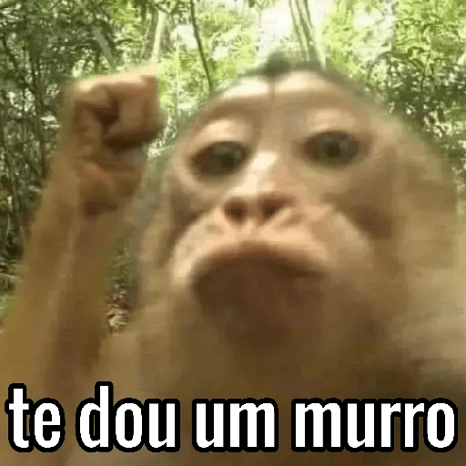 Macacos Engraçados😂🐒 1