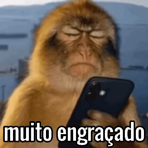 Macacos Engraçados😂🐒 6
