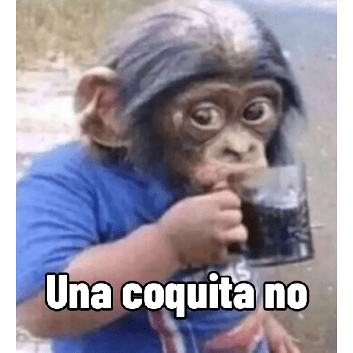 X somos chavos 11