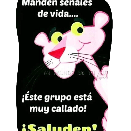 Mi Niña 15