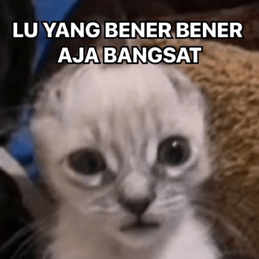 Kucing-Kucingan Lagi 5