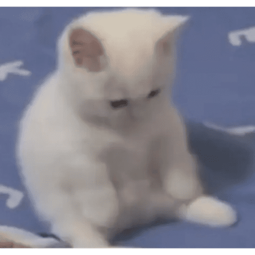 Gatitos 3 26