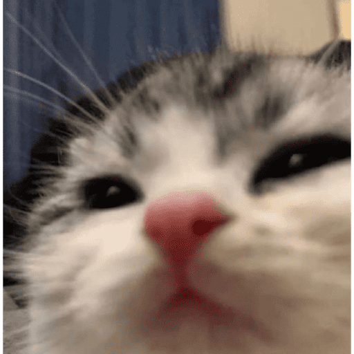 Gatitos 3 27
