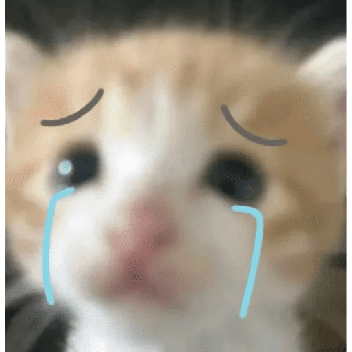 Gatitos 3 29