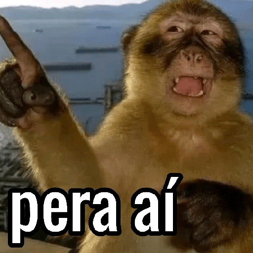 Macacos Engraçados😂🐒 2