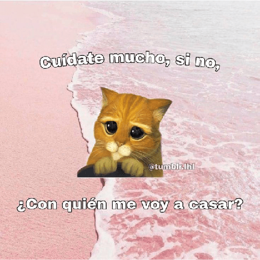 Gatos caricaturas amor❤II 7