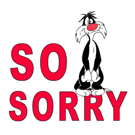 Sorry 13