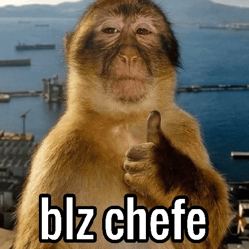 Macacos Engraçados😂🐒 4