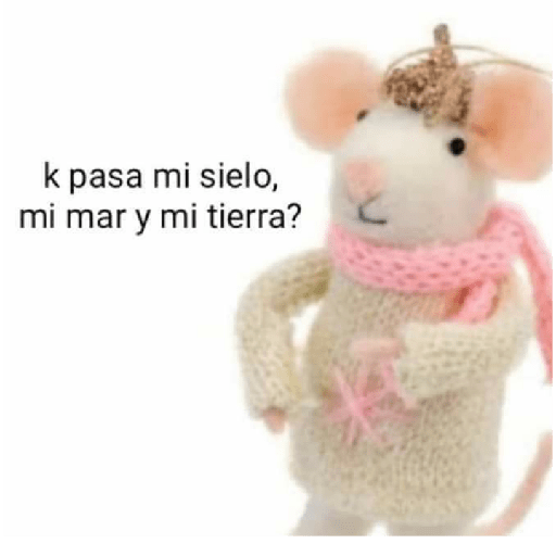 Mames 2