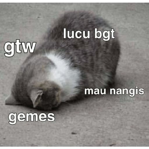 Kucing bucin 16