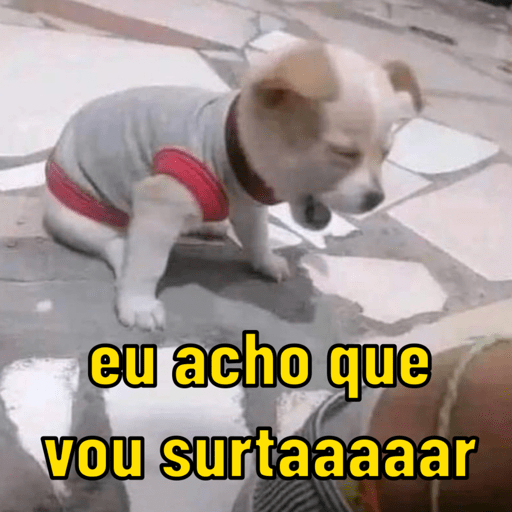 Memes para qualquer situação 1