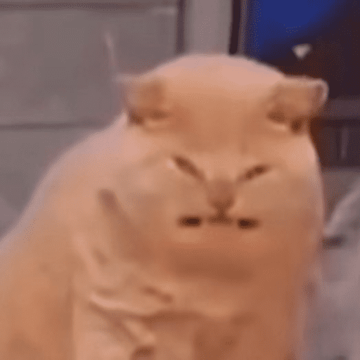 Cats 9