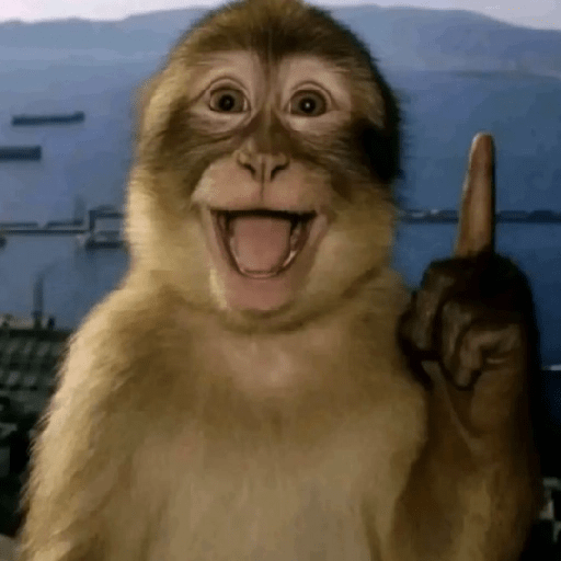 Macacos Engraçados😂🐒 10