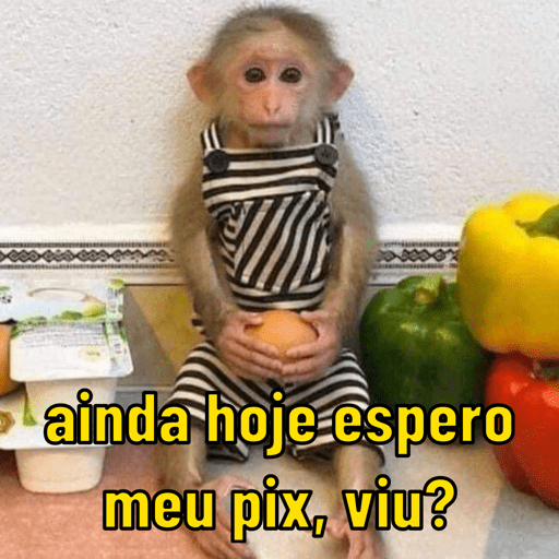 Memes para qualquer situação 5
