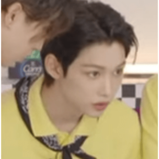 Stray kids.41 4