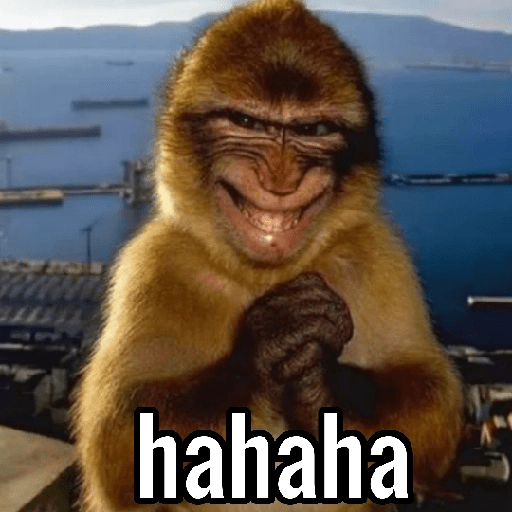 Macacos Engraçados😂🐒 8