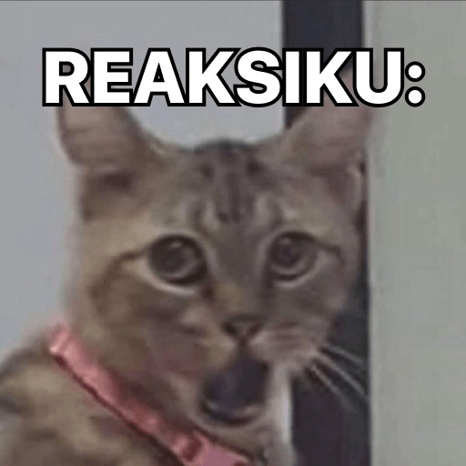 Kucing-Kucingan Lagi 10
