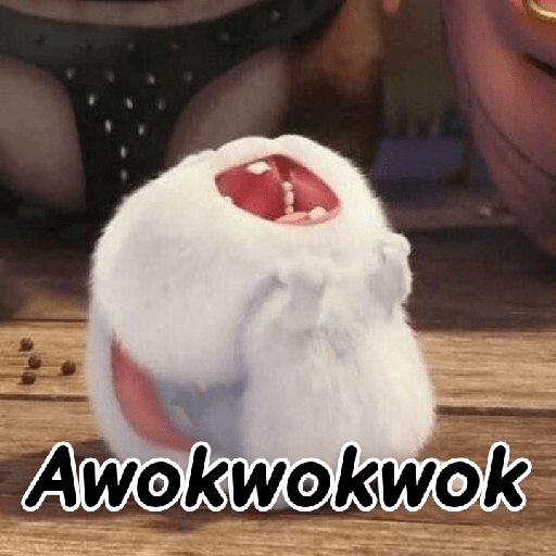Kelinci lucu 4