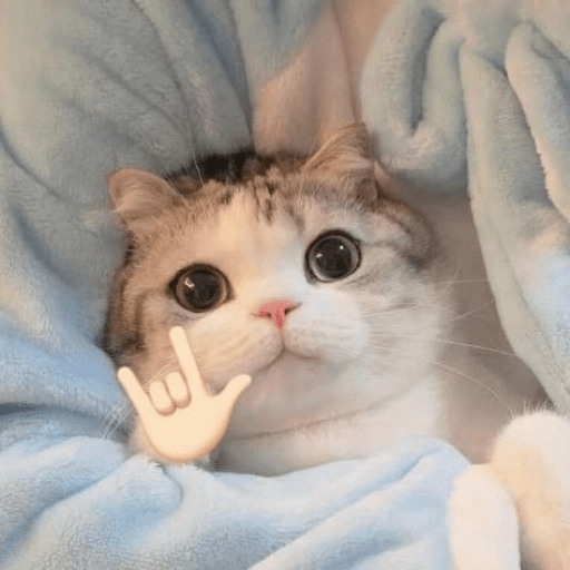 Kucing-Kucingan Lagi 2