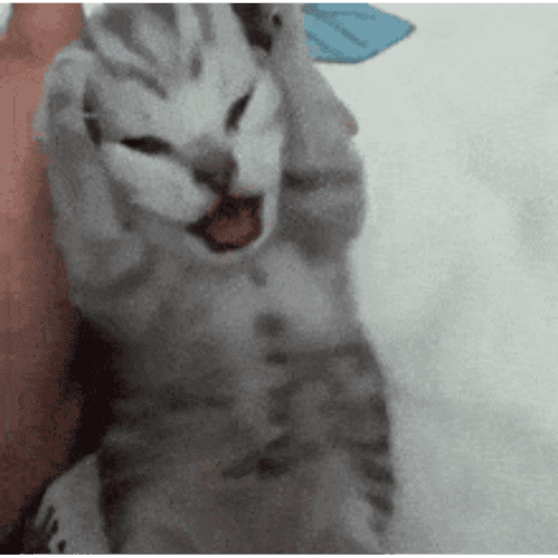 Cats 12