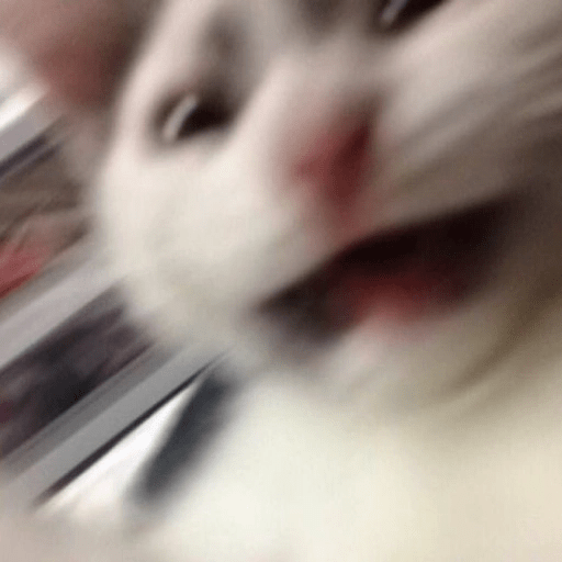 Kucing-Kucingan Lagi 3