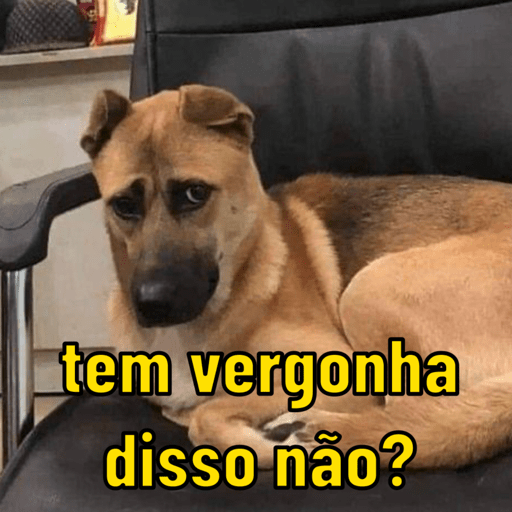 Memes para qualquer situação 15