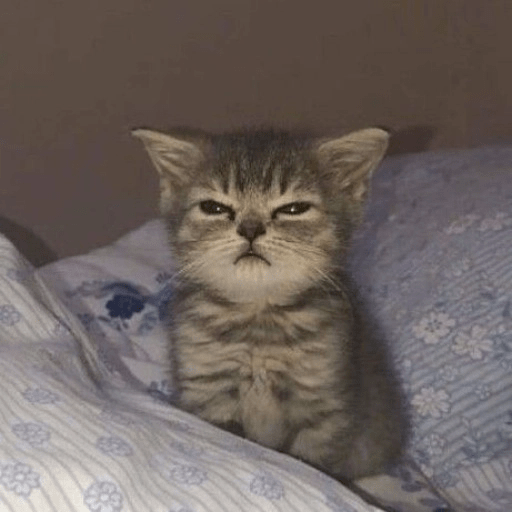 Kucing-Kucingan Lagi 9