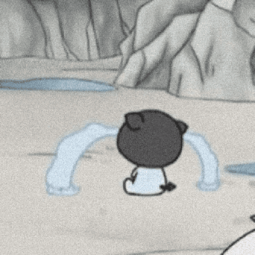 ᕬ >_< ᕬ 28