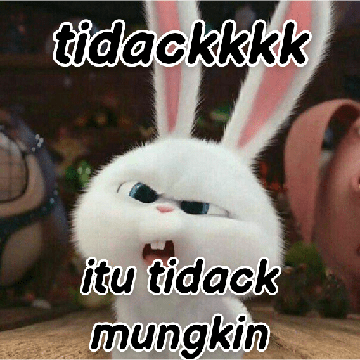 Kelinci lucu 8